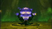 Altum sonatur queen egg sac screen
