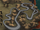 Canyon Run