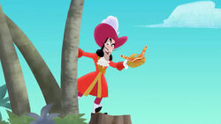 Buy Disney Jake and the Neverland Pirates: Captain hook's Cabinet of Hooks  3 Hook Set Online at Low Prices in India 