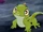 Lizard