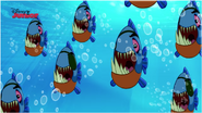 Pirate Piranhas were happily - Attack of the Pirate Piranhas