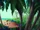 Thousand Palm Forest