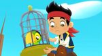 Jake&skully-Captain Hook's Parrot07