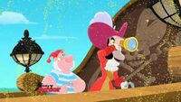 Hook-and-smee02