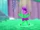 The Never Bloom