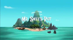 Mr. Smee's Pet