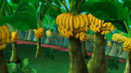 Have-a-Banana Grove01