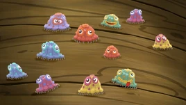 Barnacles