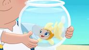 Gilly-Cubby's Goldfish14