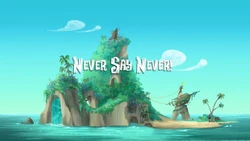 Never Say Never!titlecard