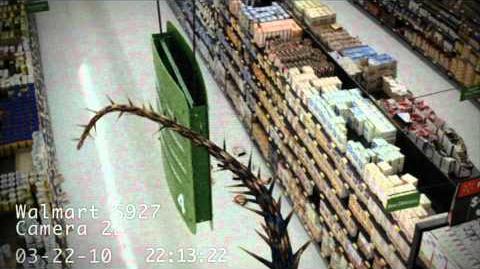 Dragons Caught on Walmart Cameras 3