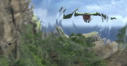 Shadowwingroar.png