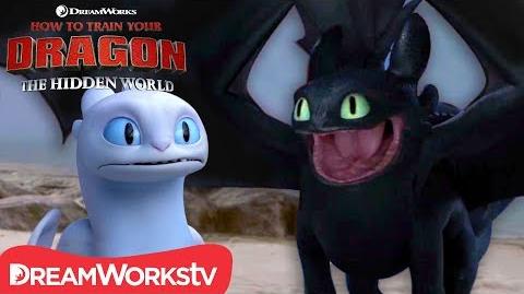 HOW TO TRAIN YOUR DRAGON THE HIDDEN WORLD Toothless Falls in Love