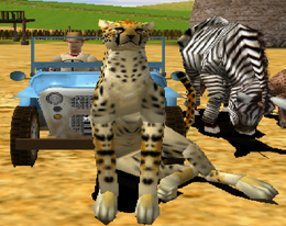 Cheetah.png