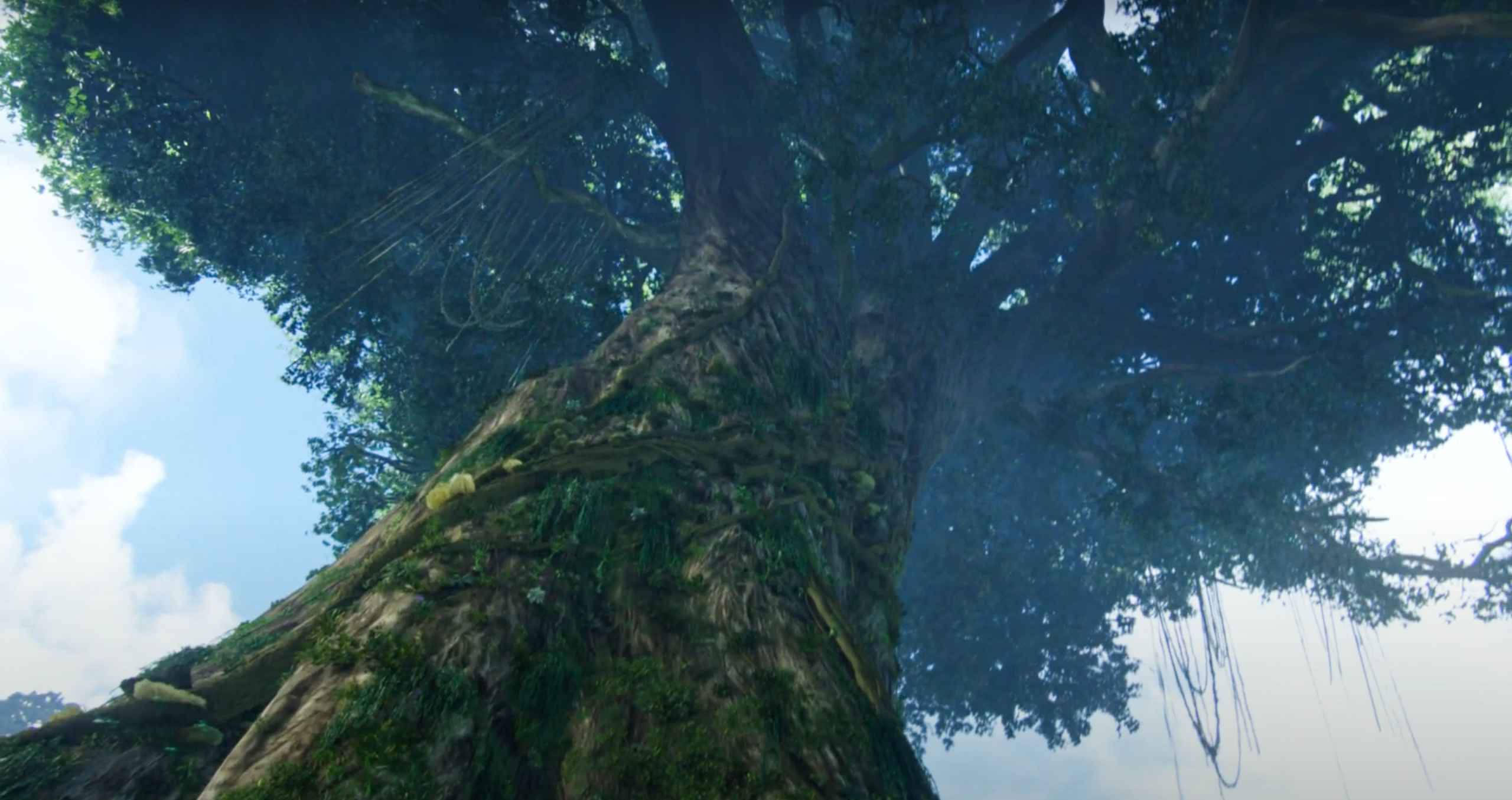 Árbol | Avatar Wiki | Fandom