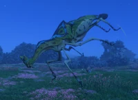 Тигровый сверчок ночью