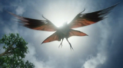 Great Leonopteryx blokkeerd de zon