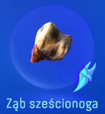 Ząb sześcionoga
