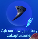 Ząb sercowej pantery zakapturzonej