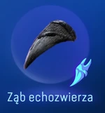 Ząb echozwierza