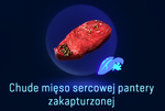 Chude mięso sercowej pantery zakapturzonej