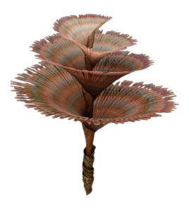 Геликорадиан tWoA