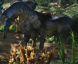 Direhorse