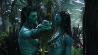 Jake & Neytiri10