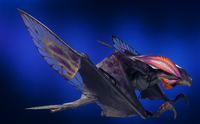 Chiroptera