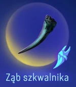 Ząb szkwalnika