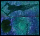 Anemonid na tle wodnej roślinności oraz pływającego Na'vi