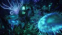 Bioluminescent beauty.jpg