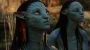 512px-Neytiri looking at Toruk makto