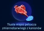 Tłuste mięso pełzacza zmiennobarwnego z kanionów