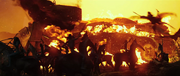 Burning Dozer