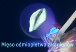 Mięso ośmiopłetwa z kanionów