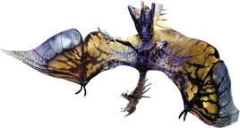 Żądłonietoperz twoa