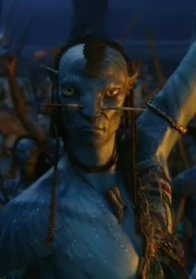 Chef du clan des plaine