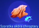 Szorstka skóra chiroptery