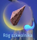 Róg szkwalnika