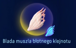 Blada muszla błotnego klejnotu