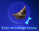 Kość sercowego kolosa