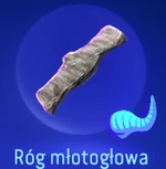 Róg młotogłowa