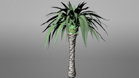 Гигантская пальма. ROVR.png