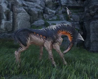 Кобыла Воаи