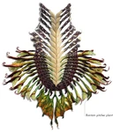 Ozdoba na tułów Neytiri