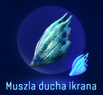 Muszla ducha ikrana przedmiot
