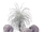 Ветрянник