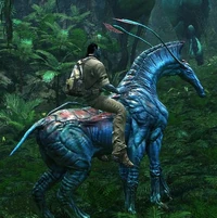 Аватар на станге