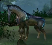 Лютоконь. AR